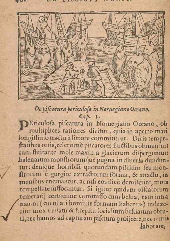 Reproducción/Reproduction 15636825912: Historiae de gentibus septentrionalibus /. Antverpiae :Apud Ioannem Bellerum,[ca. 1557]