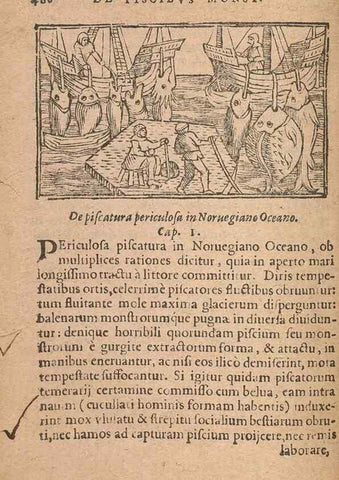 Reproducción/Reproduction 15636825912: Historiae de gentibus septentrionalibus /. Antverpiae :Apud Ioannem Bellerum,[ca. 1557]