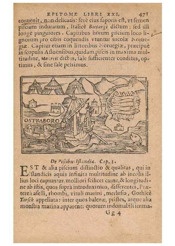 Reproducción/Reproduction 15015816933: Historiae de gentibus septentrionalibus /. Antverpiae :Apud Ioannem Bellerum,[ca. 1557]