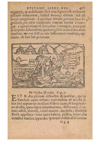 Reproducción/Reproduction 15015816933: Historiae de gentibus septentrionalibus /. Antverpiae :Apud Ioannem Bellerum,[ca. 1557]