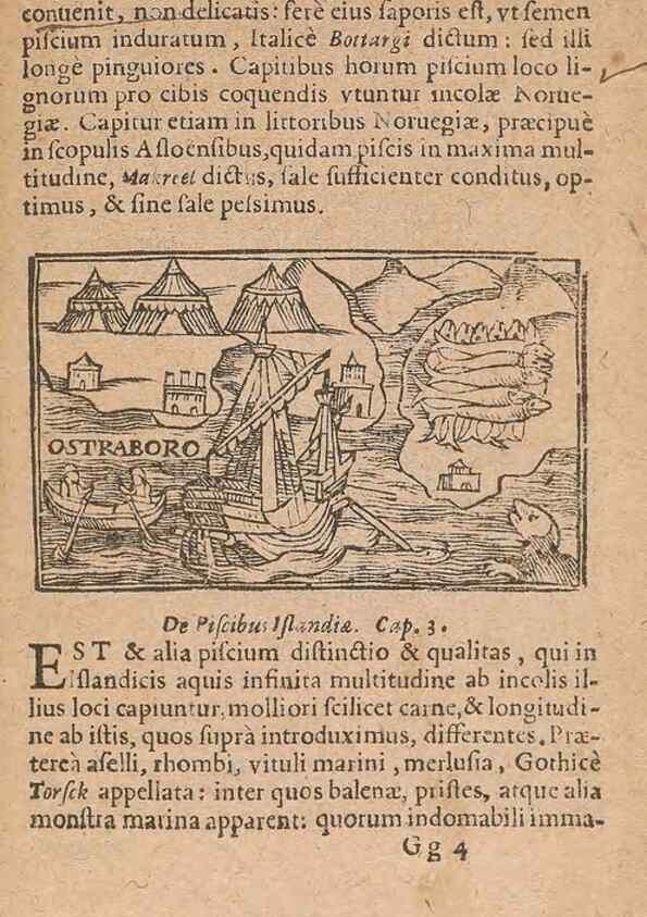 Reproducción/Reproduction 15015816933: Historiae de gentibus septentrionalibus /. Antverpiae :Apud Ioannem Bellerum,[ca. 1557]