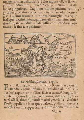 Reproducción/Reproduction 15015816933: Historiae de gentibus septentrionalibus /. Antverpiae :Apud Ioannem Bellerum,[ca. 1557]