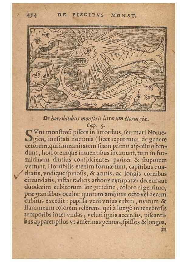Reproducción/Reproduction 15450409760: Historiae de gentibus septentrionalibus /. Antverpiae :Apud Ioannem Bellerum,[ca. 1557]