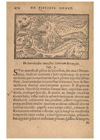 Reproducción/Reproduction 15450409760: Historiae de gentibus septentrionalibus /. Antverpiae :Apud Ioannem Bellerum,[ca. 1557]