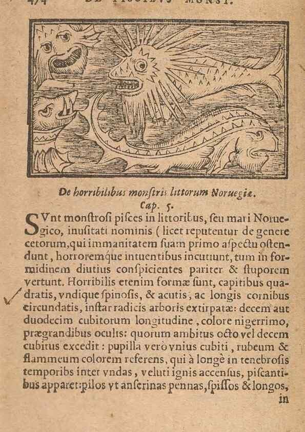 Reproducción/Reproduction 15450409760: Historiae de gentibus septentrionalibus /. Antverpiae :Apud Ioannem Bellerum,[ca. 1557]
