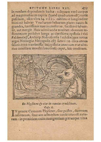 Reproducción/Reproduction 15449872998: Historiae de gentibus septentrionalibus /. Antverpiae :Apud Ioannem Bellerum,[ca. 1557]