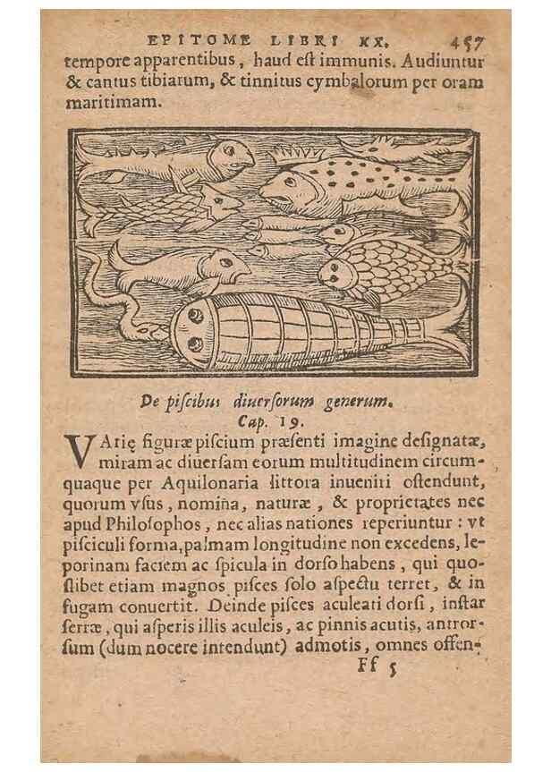 Reproducción/Reproduction 15633263431: Historiae de gentibus septentrionalibus /. Antverpiae :Apud Ioannem Bellerum,[ca. 1557]