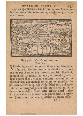 Reproducción/Reproduction 15633263431: Historiae de gentibus septentrionalibus /. Antverpiae :Apud Ioannem Bellerum,[ca. 1557]