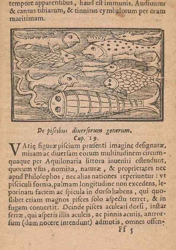 Reproducción/Reproduction 15633263431: Historiae de gentibus septentrionalibus /. Antverpiae :Apud Ioannem Bellerum,[ca. 1557]
