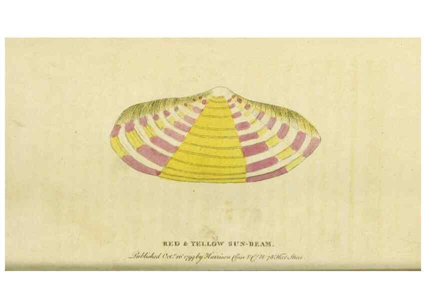 Reproducción/Reproduction 20143137262: The Naturalist's Pocket Magazine or compleat cabinet of the curiosities and beauties of nature.. London.