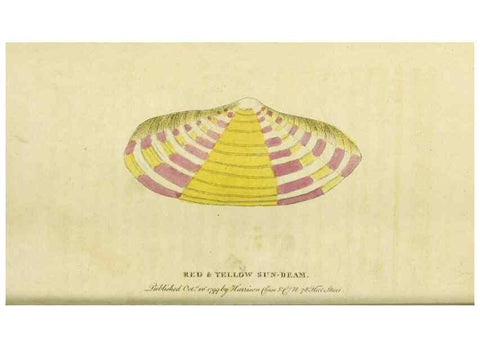 Reproducción/Reproduction 20143137262: The Naturalist's Pocket Magazine or compleat cabinet of the curiosities and beauties of nature.. London.