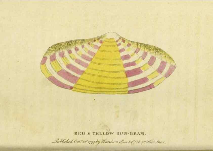 Reproducción/Reproduction 20143137262: The Naturalist's Pocket Magazine or compleat cabinet of the curiosities and beauties of nature.. London.