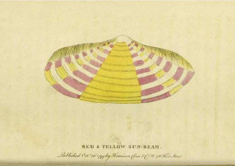 Reproducción/Reproduction 20143137262: The Naturalist's Pocket Magazine or compleat cabinet of the curiosities and beauties of nature.. London.