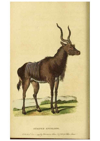 Reproducción/Reproduction 19963201100: The Naturalist's Pocket Magazine or compleat cabinet of the curiosities and beauties of nature.. London.