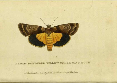 Reproducción/Reproduction 19528685774: The Naturalist's Pocket Magazine or compleat cabinet of the curiosities and beauties of nature.. London.
