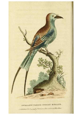 Reproducción/Reproduction 20151351345: The Naturalist's Pocket Magazine or compleat cabinet of the curiosities and beauties of nature.. London.