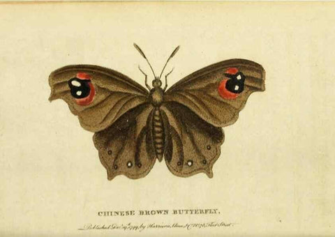 Reproducción/Reproduction 19530381203: The Naturalist's Pocket Magazine or compleat cabinet of the curiosities and beauties of nature.. London.
