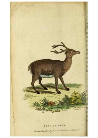 Reproducción/Reproduction 19963370590: The Naturalist's Pocket Magazine or compleat cabinet of the curiosities and beauties of nature.. London.