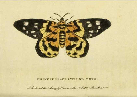 Reproducción/Reproduction 20143239162: The Naturalist's Pocket Magazine or compleat cabinet of the curiosities and beauties of nature.. London.