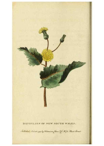 Reproducción/Reproduction 20143176572: The Naturalist's Pocket Magazine or compleat cabinet of the curiosities and beauties of nature.. London.