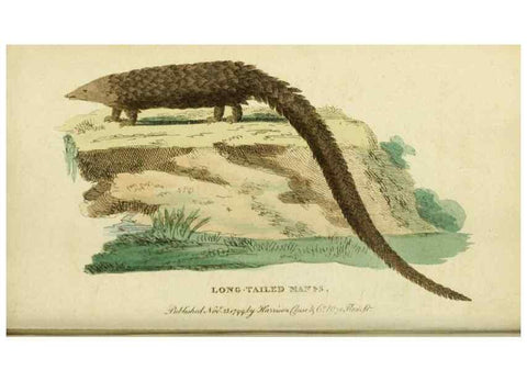 Reproducción/Reproduction 19963168228: The Naturalist's Pocket Magazine or compleat cabinet of the curiosities and beauties of nature.. London.
