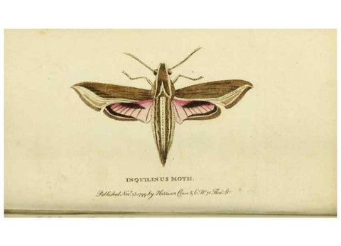 Reproducción/Reproduction 19528607774: The Naturalist's Pocket Magazine or compleat cabinet of the curiosities and beauties of nature.. London.