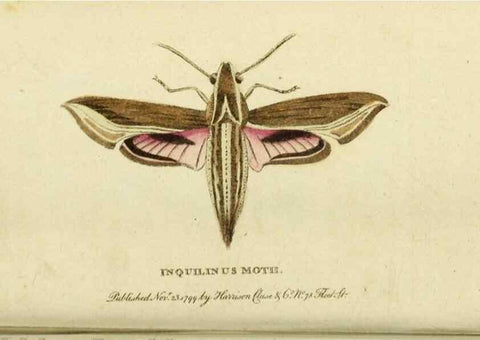 Reproducción/Reproduction 19528607774: The Naturalist's Pocket Magazine or compleat cabinet of the curiosities and beauties of nature.. London.