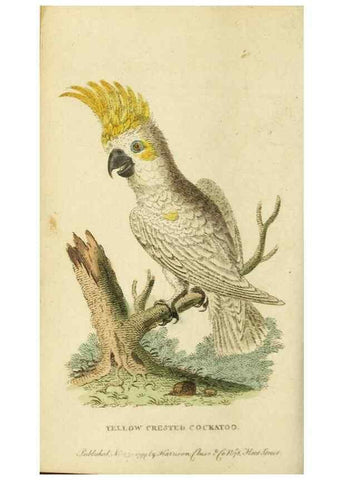Reproducción/Reproduction 19963256860: The Naturalist's Pocket Magazine or compleat cabinet of the curiosities and beauties of nature.. London.
