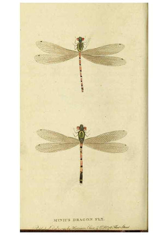 Reproducción/Reproduction 20143214022: The Naturalist's Pocket Magazine or compleat cabinet of the curiosities and beauties of nature.. London.