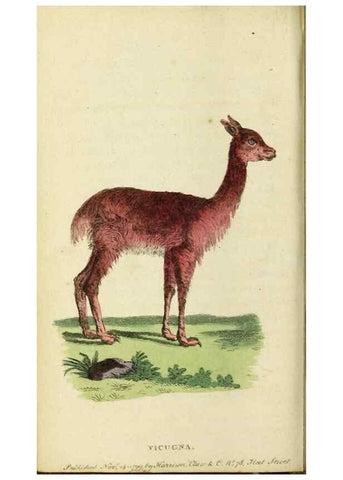 Reproducción/Reproduction 20156856321: The Naturalist's Pocket Magazine or compleat cabinet of the curiosities and beauties of nature.. London.