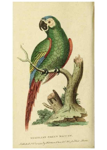 Reproducción/Reproduction 19963284280: The Naturalist's Pocket Magazine or compleat cabinet of the curiosities and beauties of nature.. London.