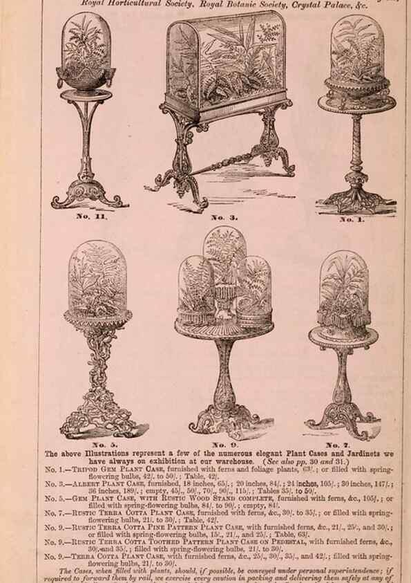 Reproducción/Reproduction 16765417305: Barr & Sugden's spring seed catalogue and guide to the flower and kitchen garden /. London :Barr & Sugden,1861-1882.