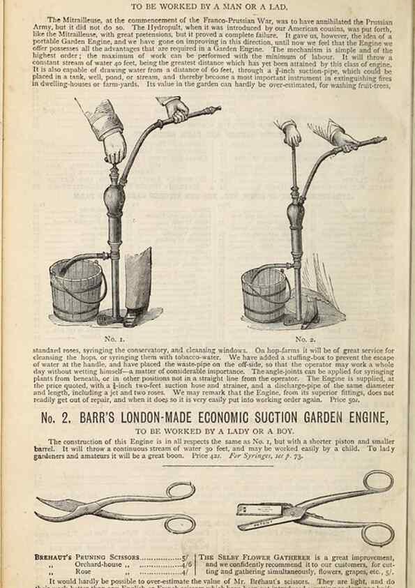 Reproducción/Reproduction 16785835132: Barr & Sugden's spring seed catalogue and guide to the flower and kitchen garden /. London :Barr & Sugden,1861-1882.