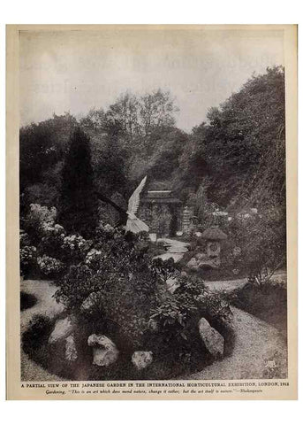 Reproducción/Reproduction 15744918938: Boddington's quality bulbs, seeds and plants /. New York, N.Y. :Arthur T. Boddington.