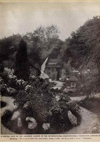Reproducción/Reproduction 15744918938: Boddington's quality bulbs, seeds and plants /. New York, N.Y. :Arthur T. Boddington.