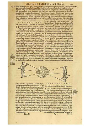 Reproducción/Reproduction 15048523234: Mundus subterraneus, in XII libros digestus :. Amstelodami :apud Joannem Janssonium à Waesberge & filios,1678.
