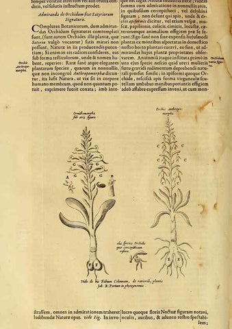 Reproducción/Reproduction 15666586781: Mundus subterraneus, in XII libros digestus :. Amstelodami :apud Joannem Janssonium à Waesberge & filios,1678.