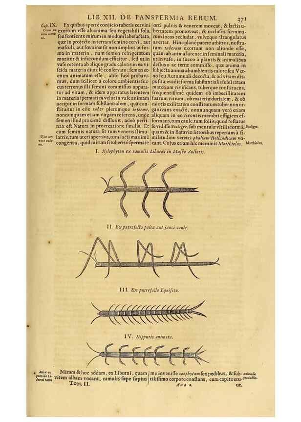 Reproducción/Reproduction 15670091942: Mundus subterraneus, in XII libros digestus :. Amstelodami :apud Joannem Janssonium à Waesberge & filios,1678.