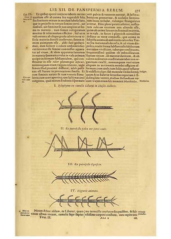 Reproducción/Reproduction 15670091942: Mundus subterraneus, in XII libros digestus :. Amstelodami :apud Joannem Janssonium à Waesberge & filios,1678.
