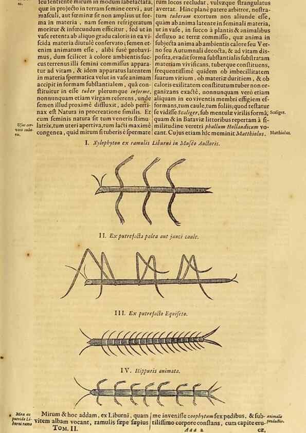 Reproducción/Reproduction 15670091942: Mundus subterraneus, in XII libros digestus :. Amstelodami :apud Joannem Janssonium à Waesberge & filios,1678.
