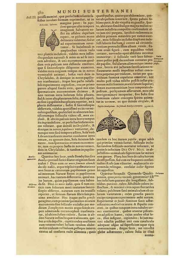 Reproducción/Reproduction 15483696730: Mundus subterraneus, in XII libros digestus :. Amstelodami :apud Joannem Janssonium à Waesberge & filios,1678.