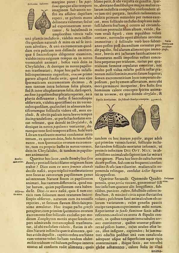 Reproducción/Reproduction 15483696730: Mundus subterraneus, in XII libros digestus :. Amstelodami :apud Joannem Janssonium à Waesberge & filios,1678.