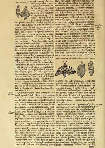 Reproducción/Reproduction 15483696730: Mundus subterraneus, in XII libros digestus :. Amstelodami :apud Joannem Janssonium à Waesberge & filios,1678.