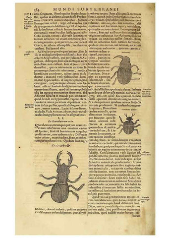 Reproducción/Reproduction 15483700880: Mundus subterraneus, in XII libros digestus :. Amstelodami :apud Joannem Janssonium à Waesberge & filios,1678.