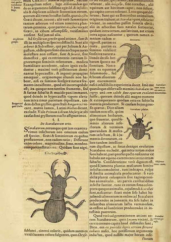 Reproducción/Reproduction 15483700880: Mundus subterraneus, in XII libros digestus :. Amstelodami :apud Joannem Janssonium à Waesberge & filios,1678.