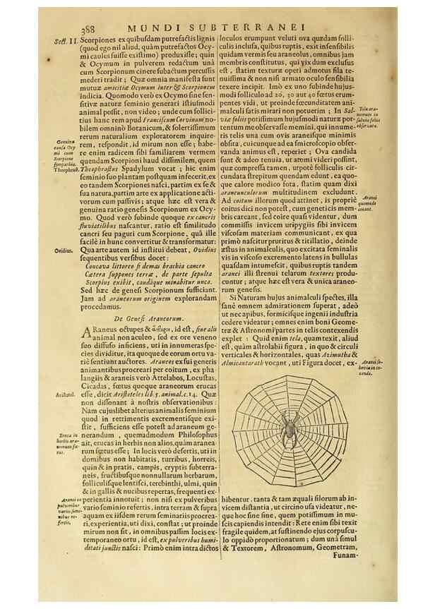 Reproducción/Reproduction 15666597071: Mundus subterraneus, in XII libros digestus :. Amstelodami :apud Joannem Janssonium à Waesberge & filios,1678.