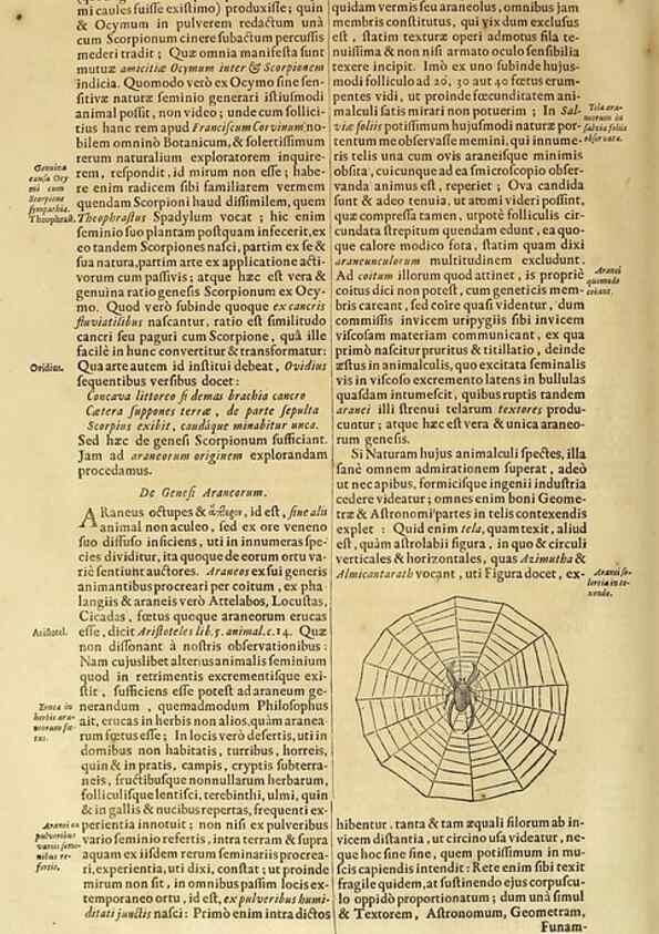 Reproducción/Reproduction 15666597071: Mundus subterraneus, in XII libros digestus :. Amstelodami :apud Joannem Janssonium à Waesberge & filios,1678.