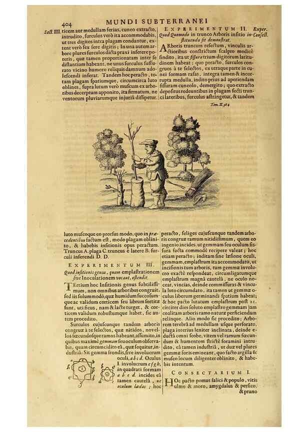 Reproducción/Reproduction 15669283485: Mundus subterraneus, in XII libros digestus :. Amstelodami :apud Joannem Janssonium à Waesberge & filios,1678.