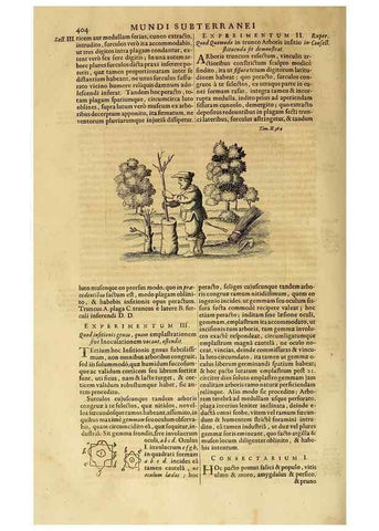 Reproducción/Reproduction 15669283485: Mundus subterraneus, in XII libros digestus :. Amstelodami :apud Joannem Janssonium à Waesberge & filios,1678.