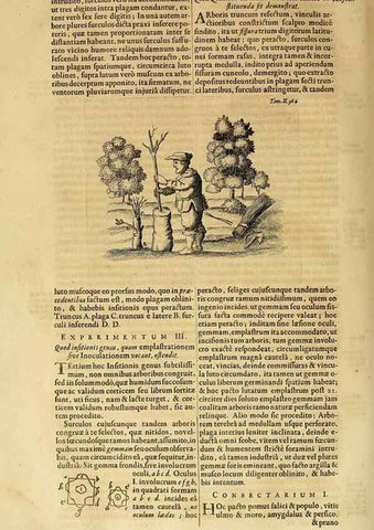 Reproducción/Reproduction 15669283485: Mundus subterraneus, in XII libros digestus :. Amstelodami :apud Joannem Janssonium à Waesberge & filios,1678.